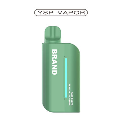 Sistema de Vape Pen recarregável 15000 Puffs Pod Vape Prefilled Mesh Coil