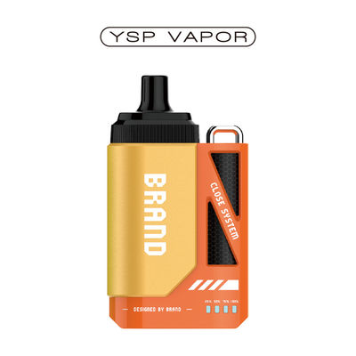 Cigarro Eletrónico 6000 Puffs Vape Pod System 10ml Rechargeable Pod System