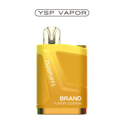 16000 Puffs Vape Pod descartável 2% Nicotina Vape Pen recarregável