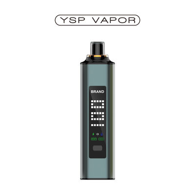 DTL Shisha vape 30000 puffs som e tela bobinas de malha dupla grandes puffs sabores personalizados